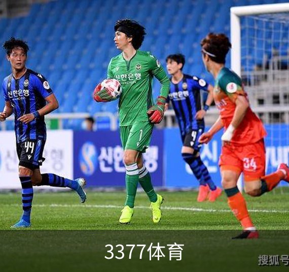 了解3377体育